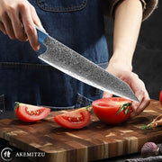 couteau traditionnel japonais decoupe akeno pro akemitzu